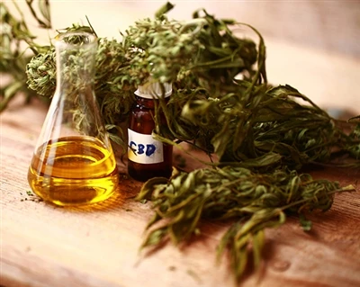 কিভাবে CBD কাজ করে?