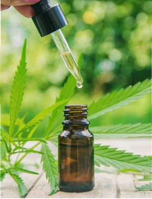 আপনি CBD চেষ্টা করার আগে কি জানতে হবে